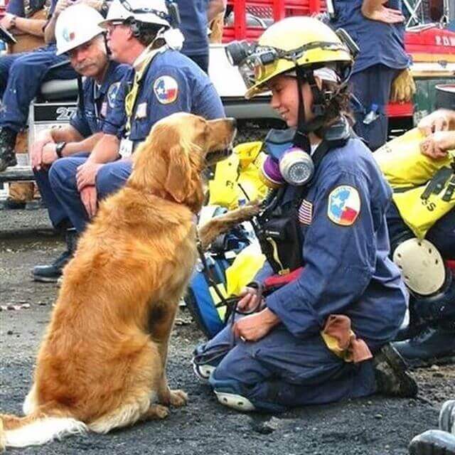 Bretagne Search and Rescue 9/11 