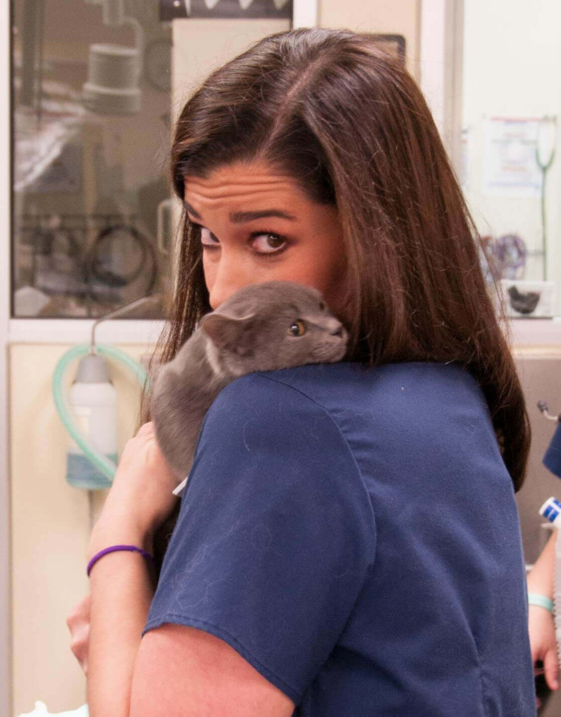 Vet Tech with Cat Fear Free
