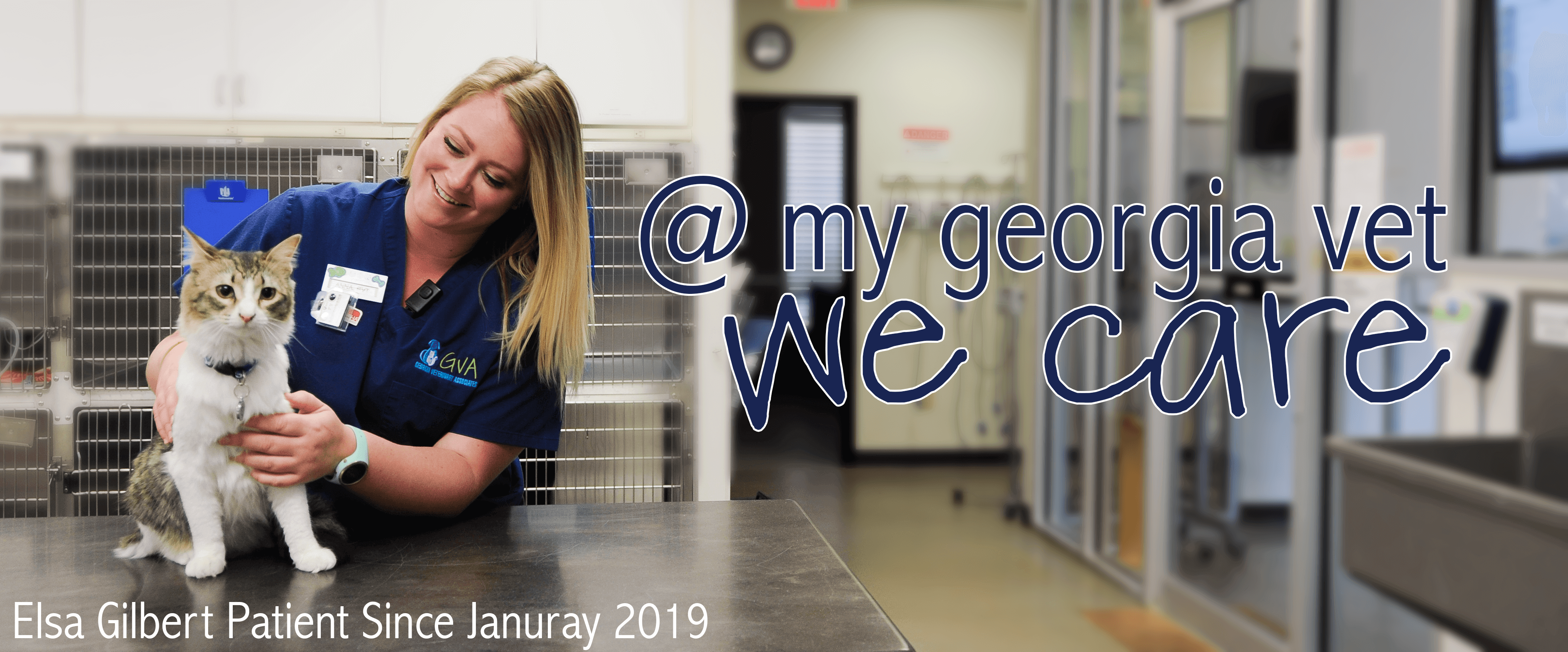 Top Rated Local Veterinarians Georgia Veterinary Associates
