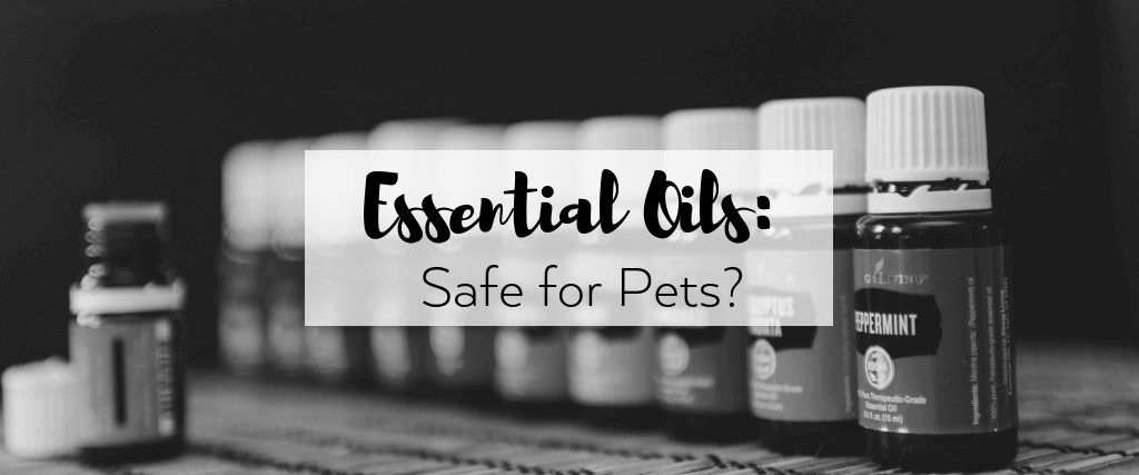 Are Essential Oils Safe For Pets 