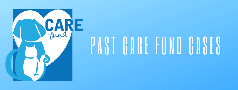 Past Care Fund Cases