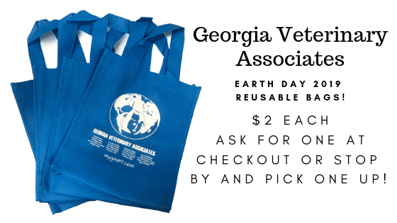 GVA Earth Day Bags