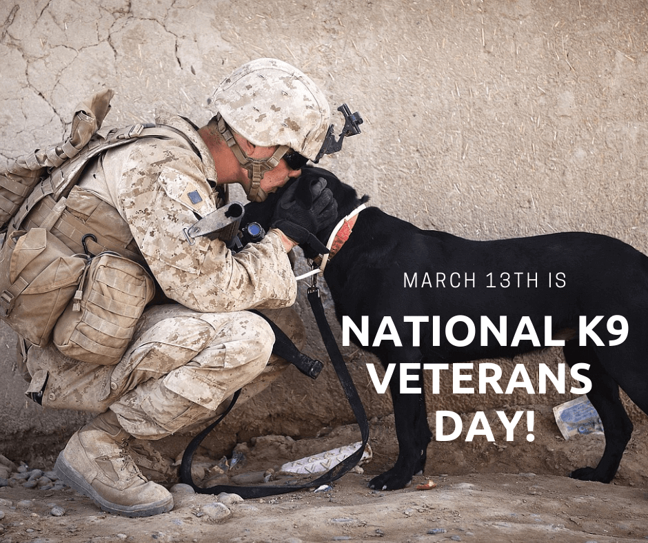 National K9 Veterans Day