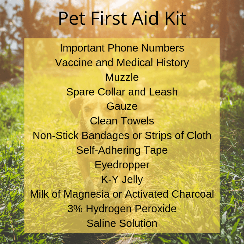 Pet First Aid Kit