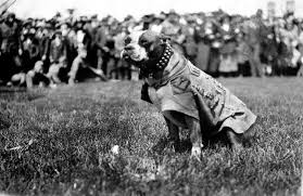 Sergeant Stubby WWI 