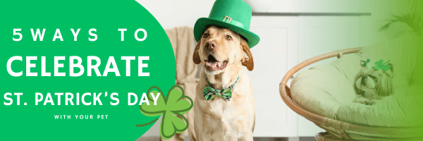 St. Patrick's Day Blog