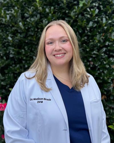 Dr. Madison Breda