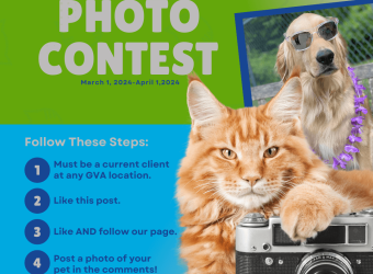2024 Annual GVA Photo Contest