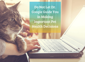Are You Still Using "Dr. Google" For Your Pet? Stop Now!