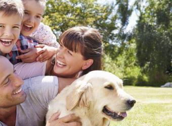 6 Mental Health Benefits of Owning a Dog in Honor of National Dog Day!