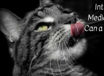 Integrative Medicine: What Can a Tongue Tell Us?